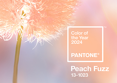 Color of the Year 2024